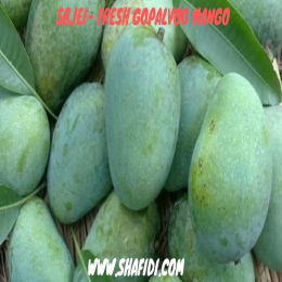 SBJEI- FRESH GOPALVOG MANGO